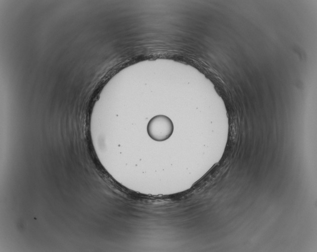 X0000113060716200909250909