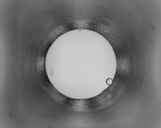 X0000113060717200909250909