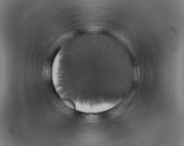 X0000113060718200909250909