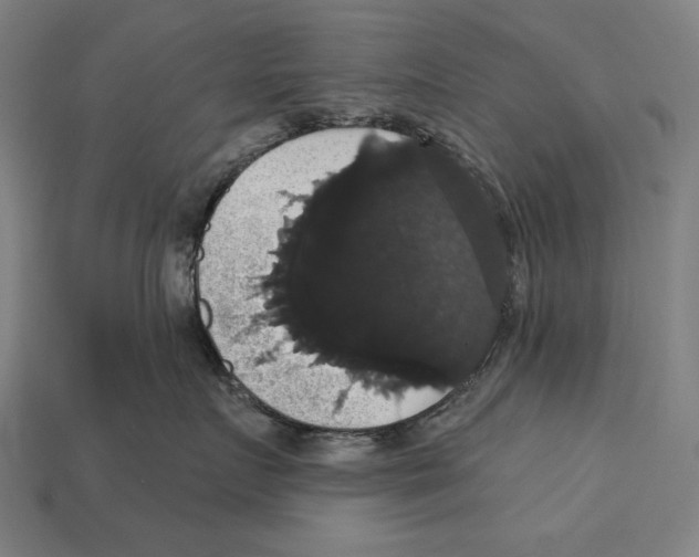 X0000113060719200909250909