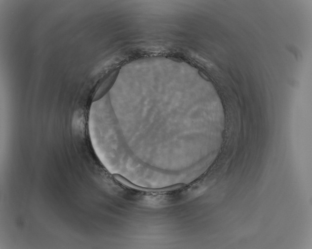 X0000113060720200909250909