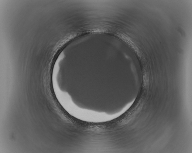 X0000113060721200909250908