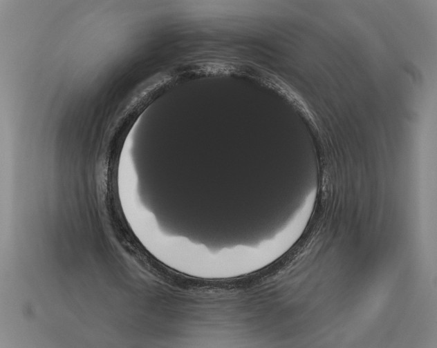 X0000113060722200909250908