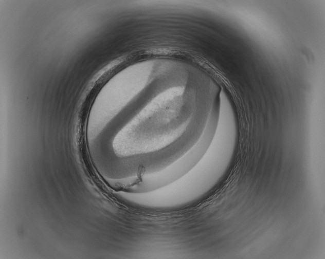 X0000113060724200909250908