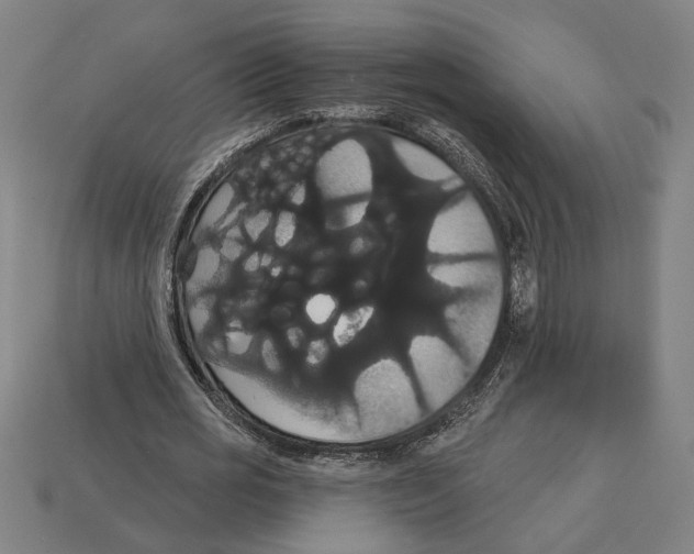 X0000113060725200909250908