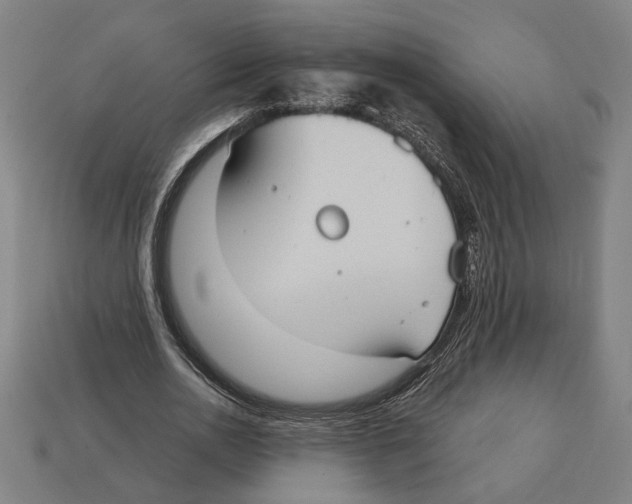 X0000113060726200909250908