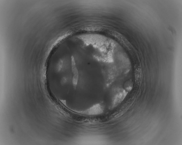 X0000113060727200909250908