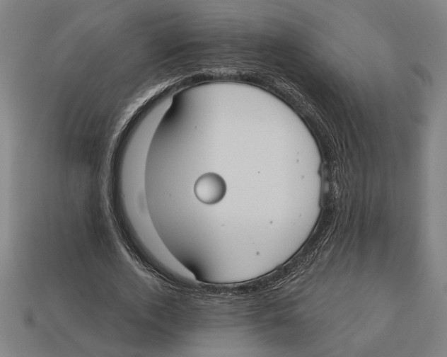 X0000113060728200909250908