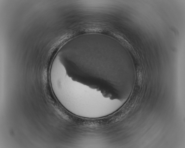 X0000113060729200909250908