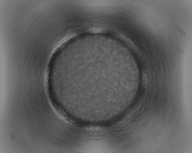 X0000113060730200909250908