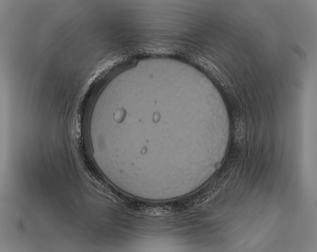 X0000113060731200909250908