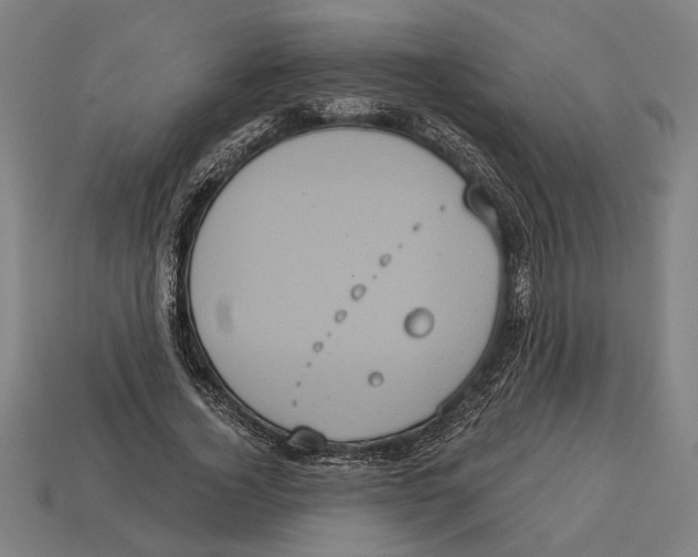 X0000113060732200909250908