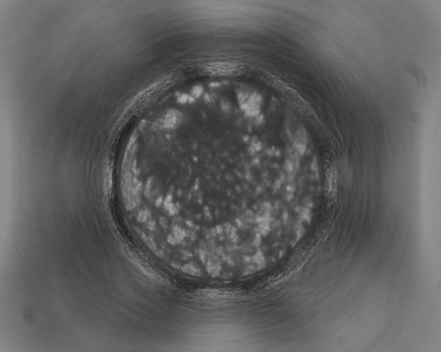 X0000113060733200909250908