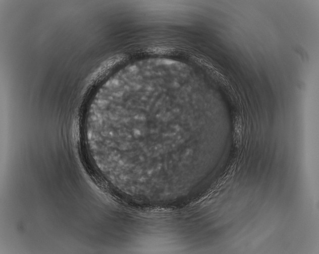 X0000113060734200909250908