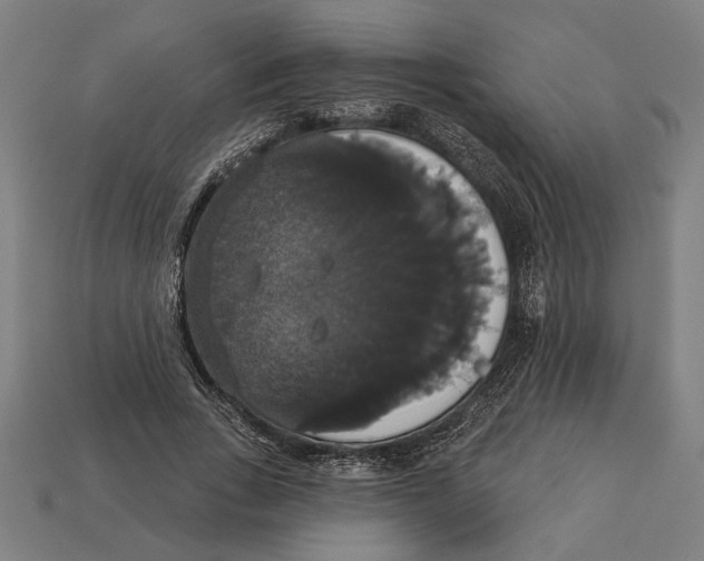 X0000113060735200909250908