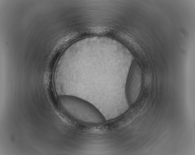 X0000113060736200909250908