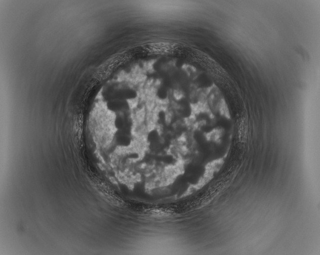 X0000113060737200909250908