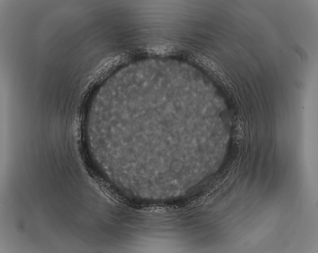 X0000113060738200909250908