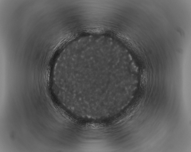 X0000113060739200909250908