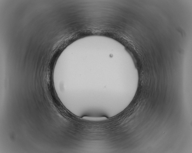 X0000113060740200909250908