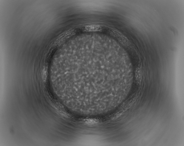 X0000113060741200909250908