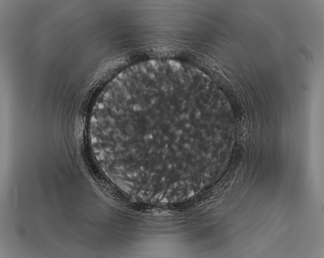 X0000113060742200909250908