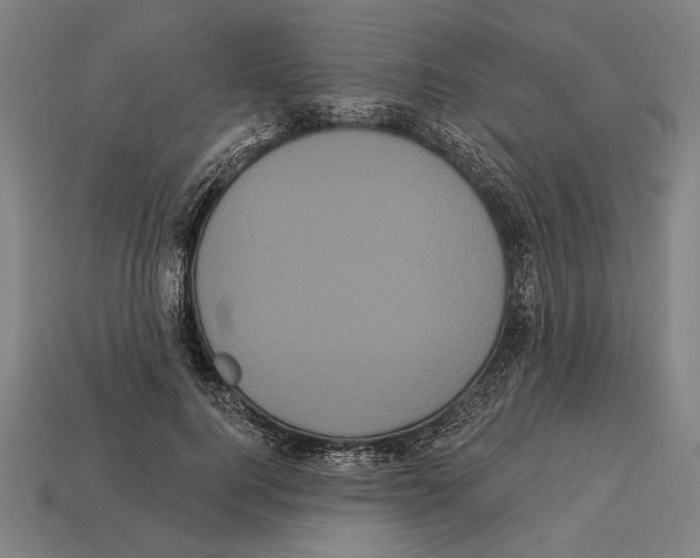 X0000113060744200909250908