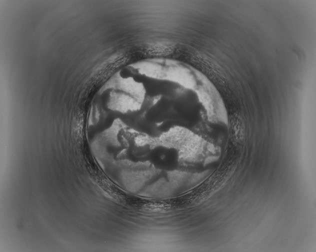 X0000113060745200909250908