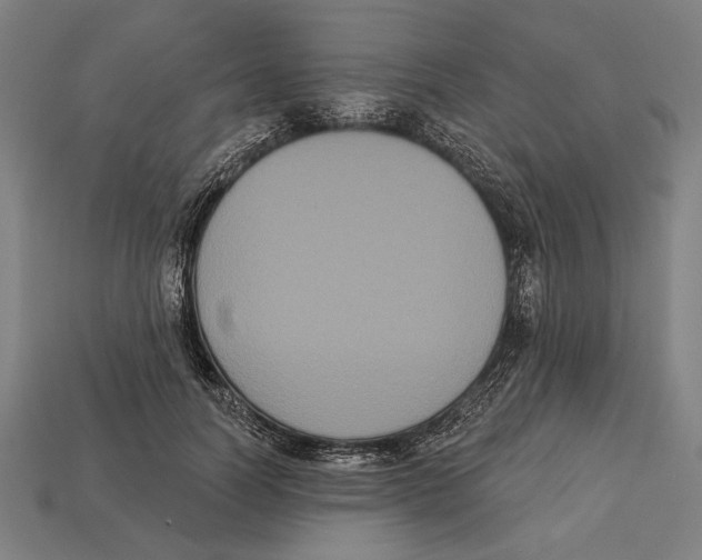 X0000113060746200909250908