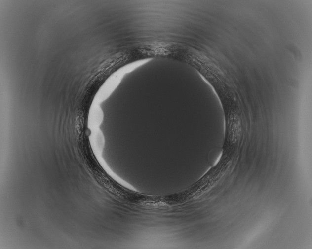 X0000113060747200909250908