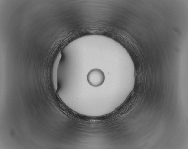 X0000113060748200909250908