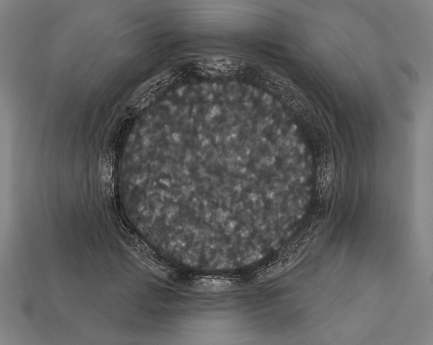 X0000113060749200909250908