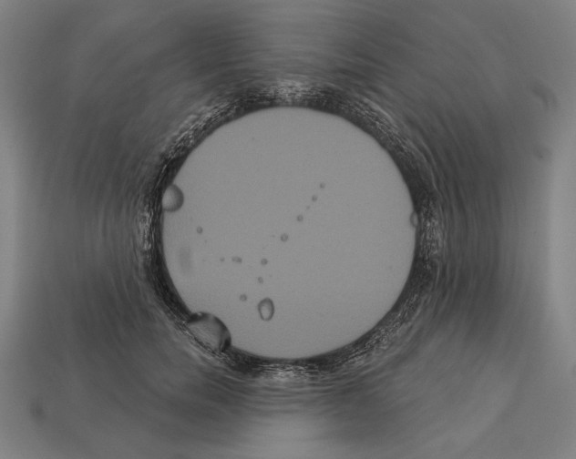 X0000113060750200909250908