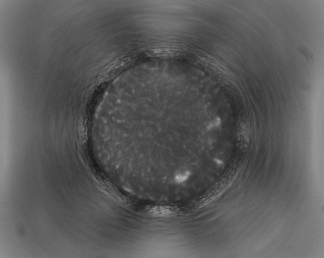 X0000113060751200909250908