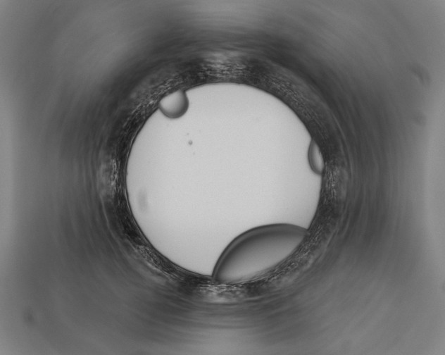 X0000113060752200909250908