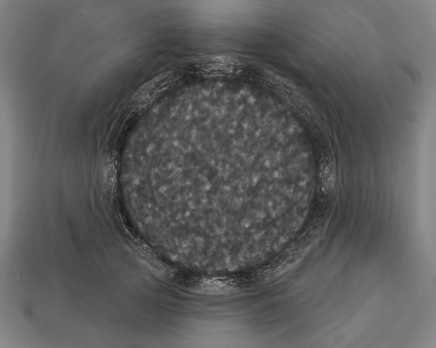 X0000113060753200909250908