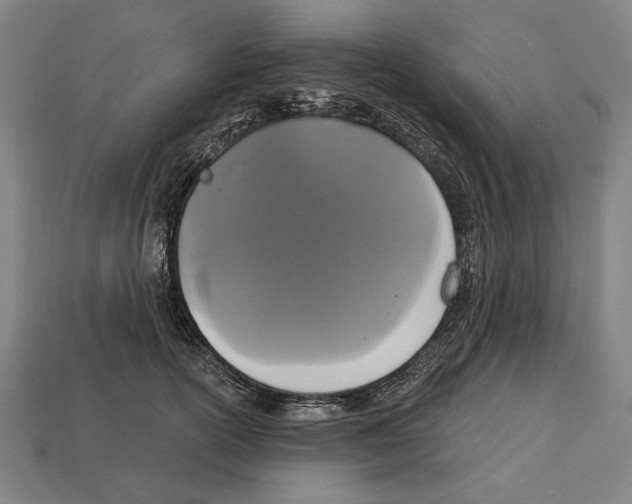 X0000113060754200909250908