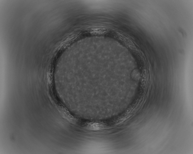 X0000113060755200909250909