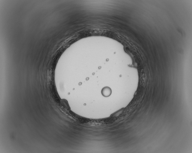 X0000113060756200909250909