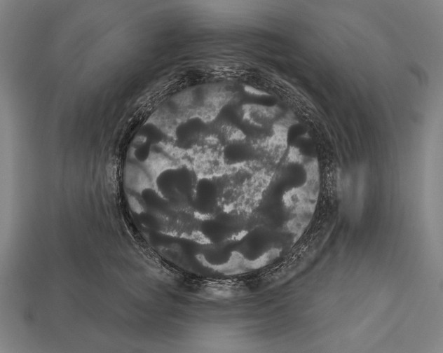 X0000113060757200909250909