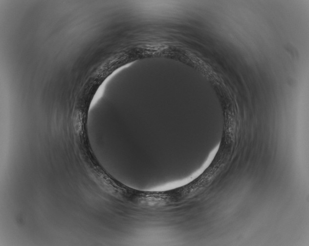 X0000113060758200909250909