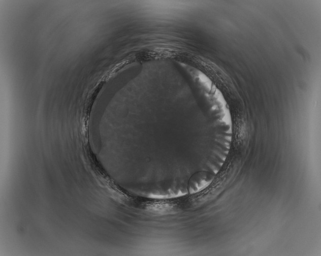 X0000113060759200909250909