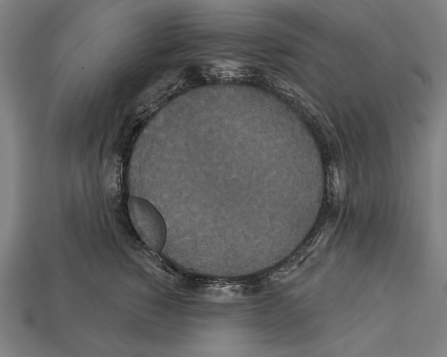 X0000113060760200909250909