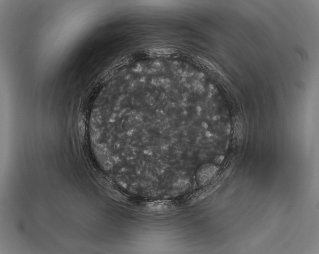 X0000113060761200909250909