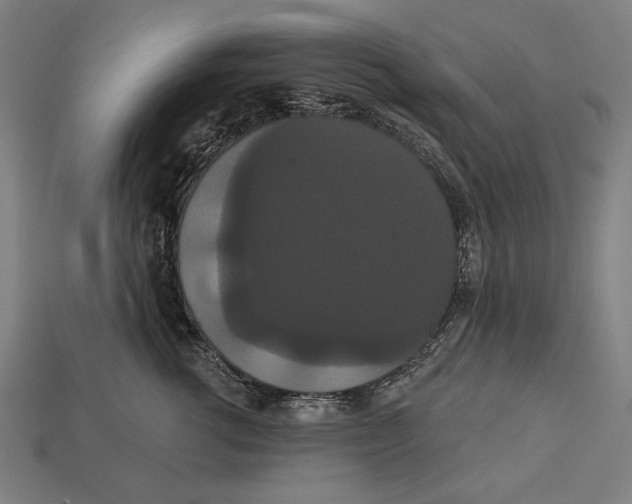 X0000113060762200909250909