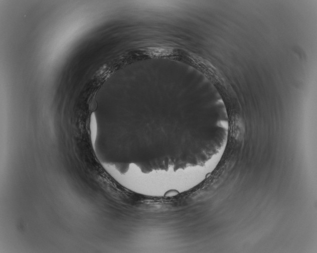 X0000113060763200909250909