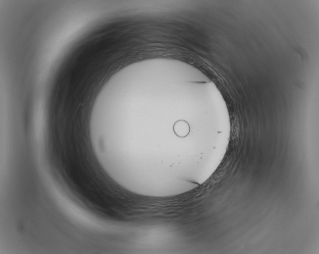 X0000113060764200909250909