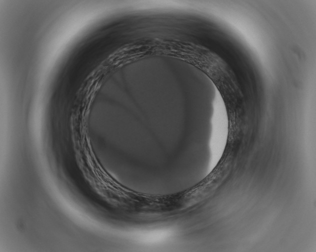 X0000113060765200909250909