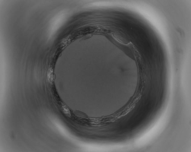 X0000113060766200909250909