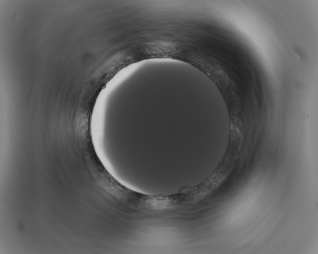 X0000113060767200909250909